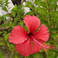 Tag于2019-11-16 12:42发布的图片