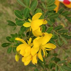 Tag于2019-11-16 12:42发布的图片