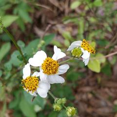 Tag于2019-11-16 12:42发布的图片