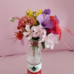 Tag于2019-11-16 12:42发布的图片