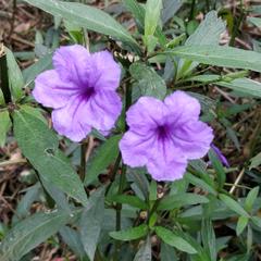 Tag于2019-11-16 12:42发布的图片