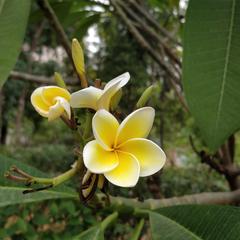 Tag于2019-11-16 12:42发布的图片