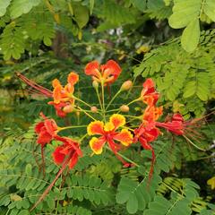 Tag于2019-11-16 12:42发布的图片