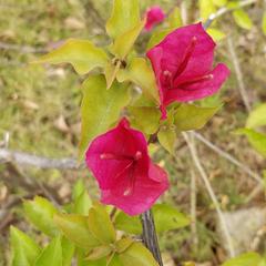 Tag于2019-11-16 12:42发布的图片