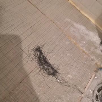 涡流于2019-11-16 23:58发布的图片