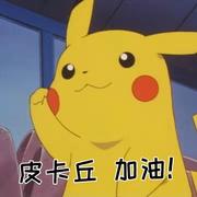 皮卡丘加油的个人资料头像