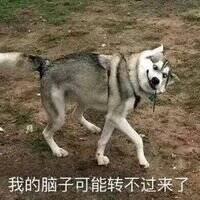 Adrian_Sakura于2019-11-18 12:20发布的图片