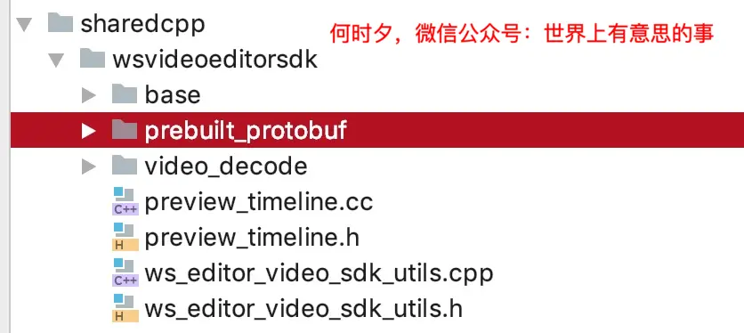 图5：sharedcpp.png