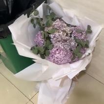 hjhwel于2019-11-18 19:16发布的图片