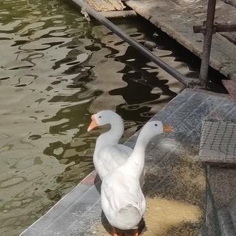 xiaoyt86052于2019-11-19 14:18发布的图片