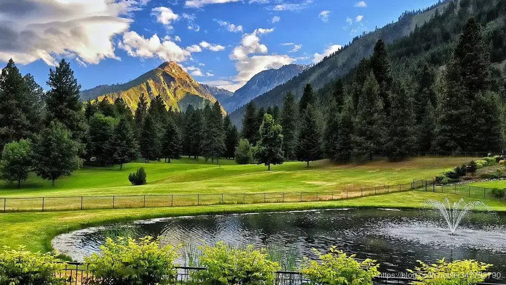 在这里插入图片描述