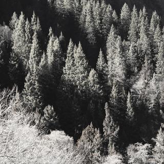 最爱沧海一声笑于2019-11-19 22:49发布的图片