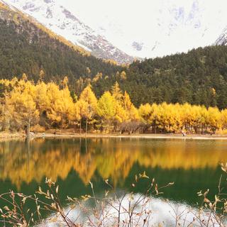 最爱沧海一声笑于2019-11-19 22:49发布的图片