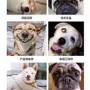 AWeiLoveAndroid于2019-11-19 23:44发布的图片