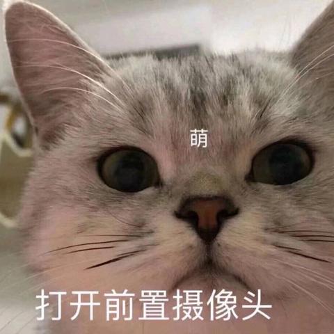陈有余Tech于2019-11-02 09:13发布的图片
