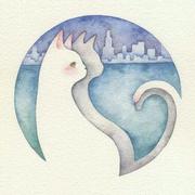 吾爱记忆的个人资料头像