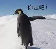 @程序员：爱我你怕了吗？用一句话形容你身边的程序员