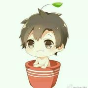 随风jyf的个人资料头像
