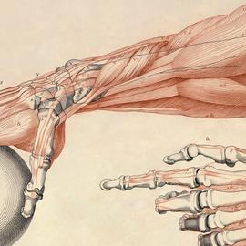 某熊猫桑于2019-11-20 21:27发布的图片