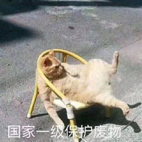 司南free于2019-11-21 10:46发布的图片