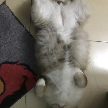 咸鱼一只于2019-11-21 15:08发布的图片