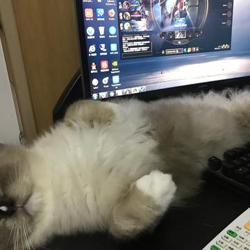 咸鱼一只于2019-11-21 15:08发布的图片