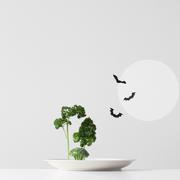 zhouyuzhe的个人资料头像