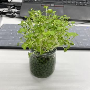 开玩笑h于2019-11-21 17:54发布的图片