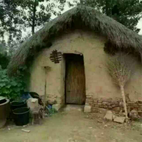 李广志于2019-11-22 04:11发布的图片