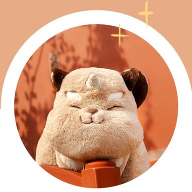 今天星期几于2019-11-22 11:38发布的图片