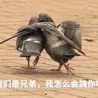 何甜甜在吗于2019-11-22 16:33发布的图片