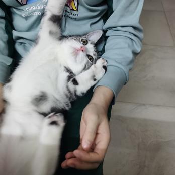 说出你的愿望吧于2019-11-22 23:12发布的图片