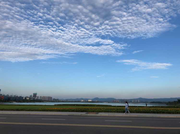 技术妞的个人资料头像