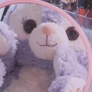 顶级云吸猫选手绵绵的个人资料头像