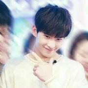 Tomato的个人资料头像