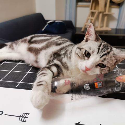 说出你的愿望吧于2019-11-24 19:41发布的图片