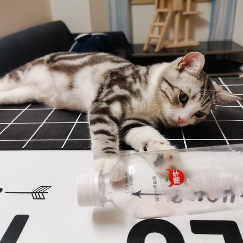 说出你的愿望吧于2019-11-24 19:41发布的图片