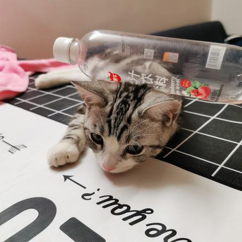 说出你的愿望吧于2019-11-24 19:41发布的图片