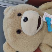 勤溜驴的个人资料头像