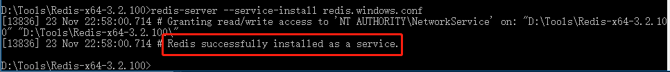 redis service