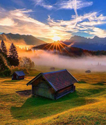 我们这里还有鱼的个人资料头像