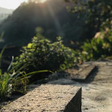 Rockbean于2019-11-26 08:16发布的图片