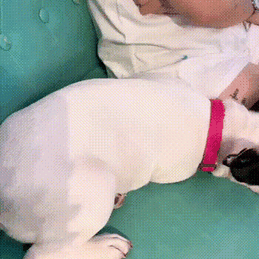 hotbear于2019-11-26 17:54发布的图片