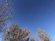 开水没有春天的个人资料头像