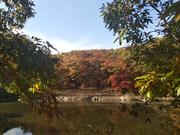 huzz的个人资料头像