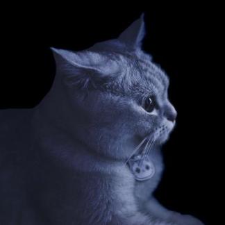 墨尽书香于2019-11-27 08:18发布的图片