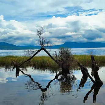 kora于2019-11-27 15:31发布的图片