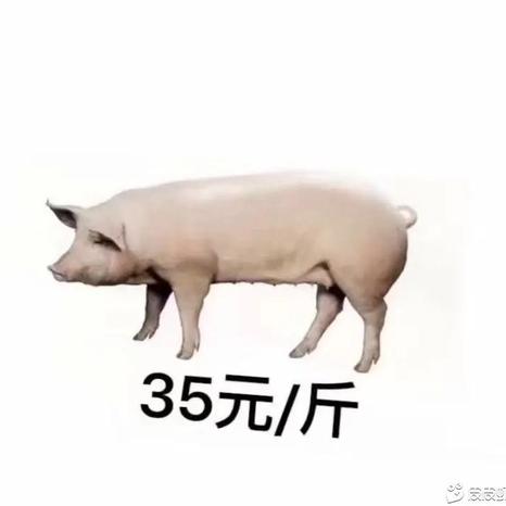 恰是晚霞愈演愈烈于2019-11-27 16:47发布的图片