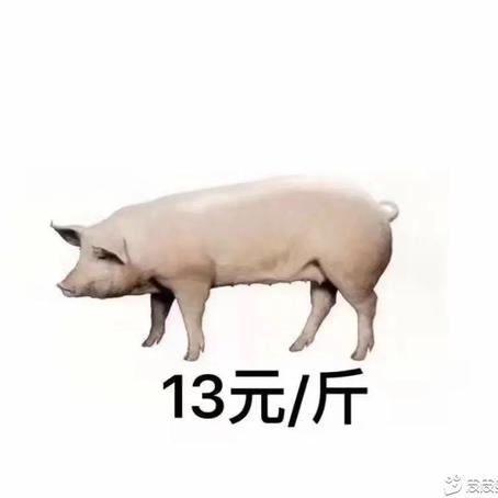 恰是晚霞愈演愈烈于2019-11-27 16:47发布的图片