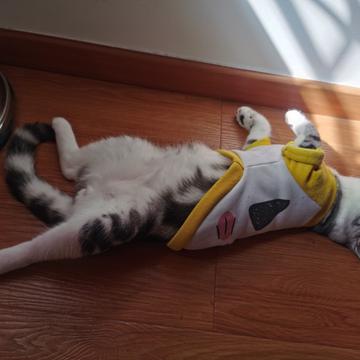 说出你的愿望吧于2019-11-28 11:39发布的图片